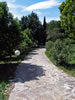 Lower Driveway