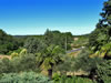 View from upstairs terrace in Summer